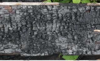 Photo Textures of Wood